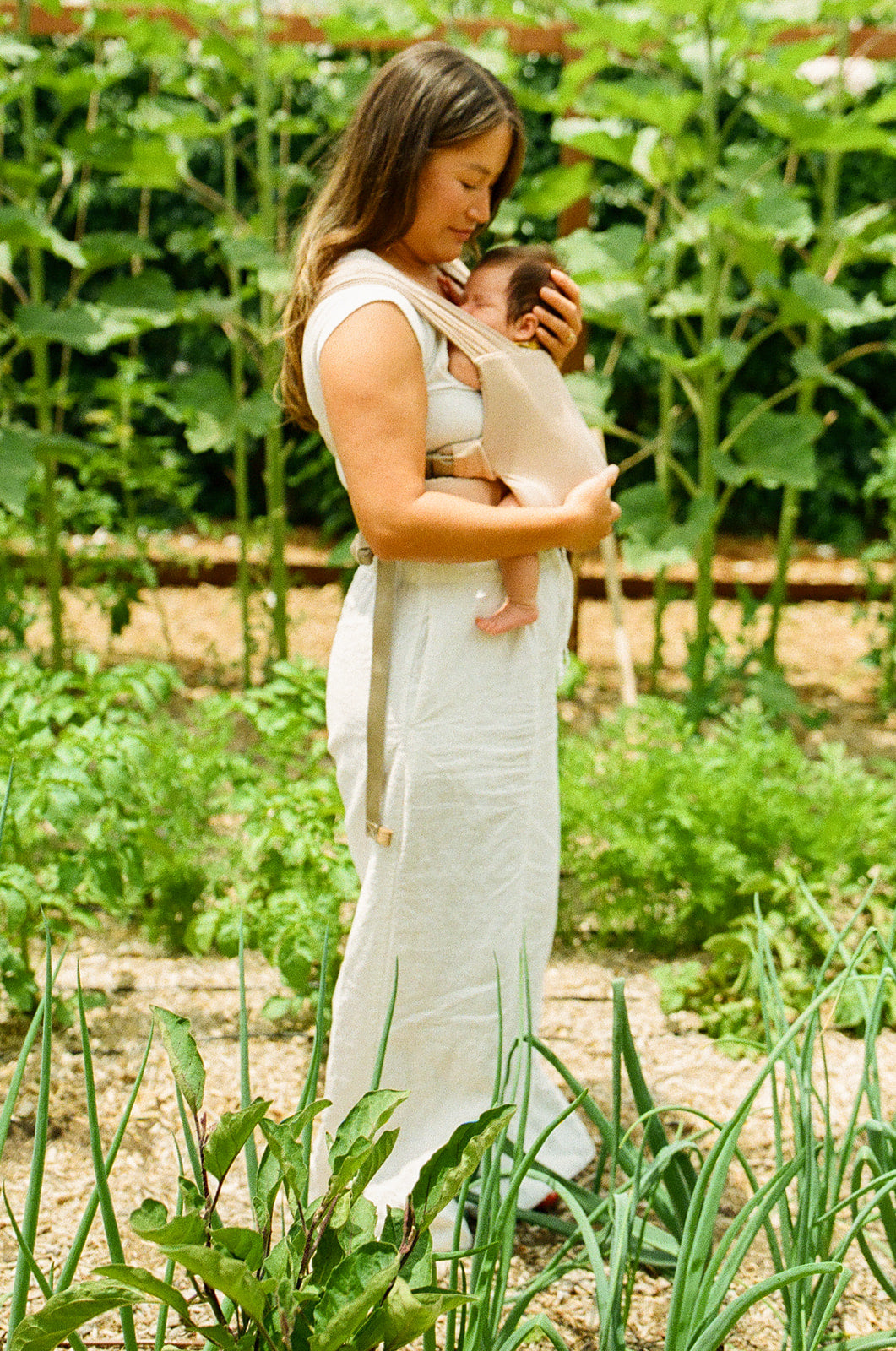 WildBird Aerial Buckle Wrap | Desert Lark