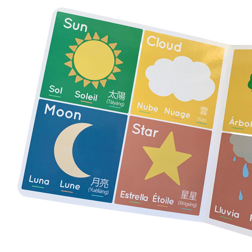 Little Lingo: A Language Book for Kids