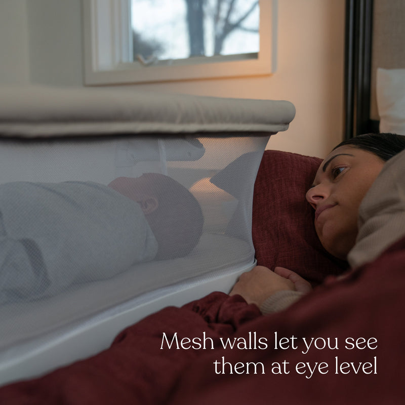 Halo BassiNest Lite Portable Bassinet