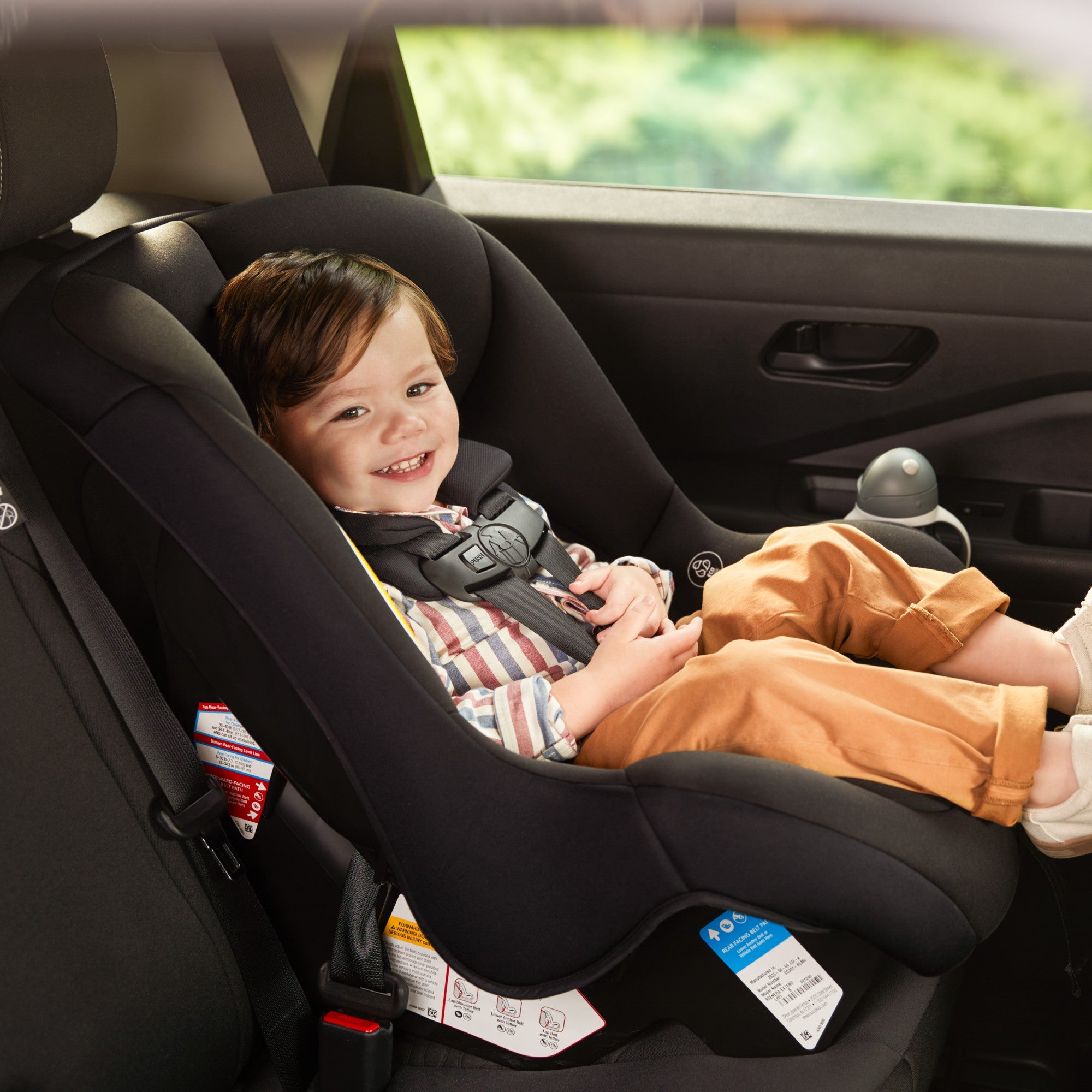 maxi cosi romu Maxi-Cosi Romi 2-in-1 Convertible Car Seat