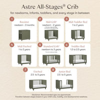 Nate Berkus x Babyletto Astre All-Stages Crib