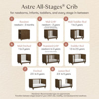 Nate Berkus x Babyletto Astre All-Stages Crib
