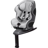 Babyark Classic Convertible Car Seat