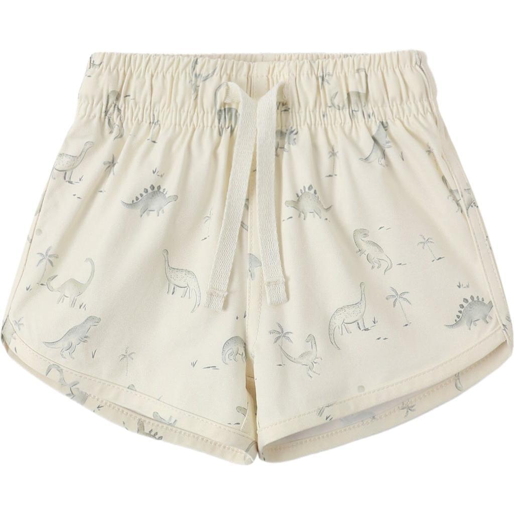 Quincy Mae Boys Swim Short Dinosaur
