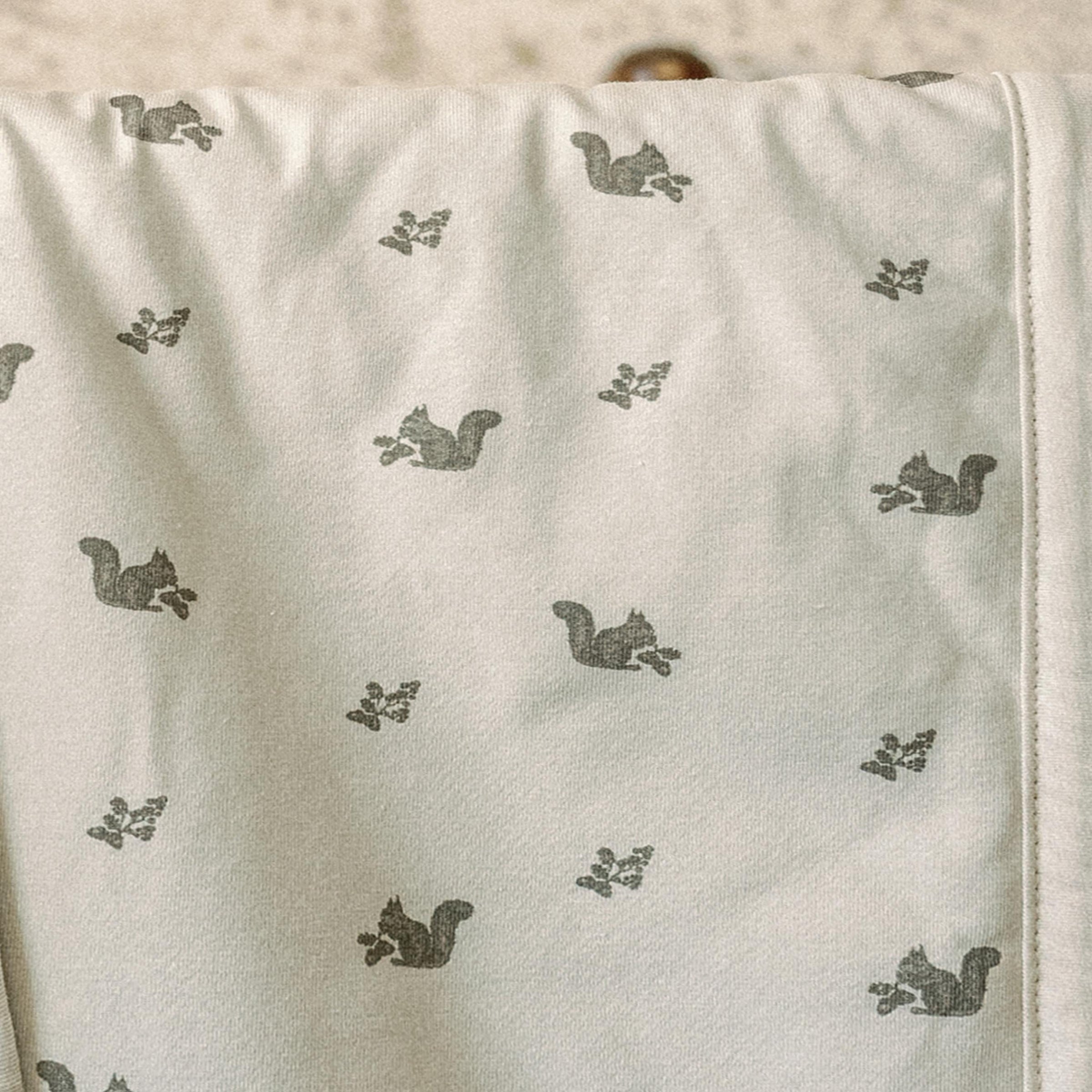 Oilo Squirrel Cuddle Blanket