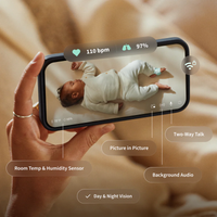 Owlet Dream Duo™ 3