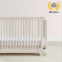 Delta Children Nest 4-in-1 Convertible Crib