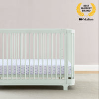 Delta Children Nest 4-in-1 Convertible Crib