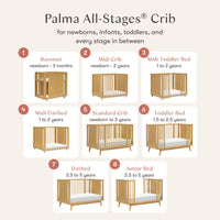 Babyletto Palma 8-in-1 Convertible All-Stages Crib with Bassinet & Toddler Bed Kits