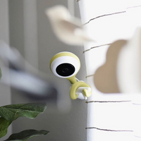 Lollipop Smart WiFi-Based Baby Camera