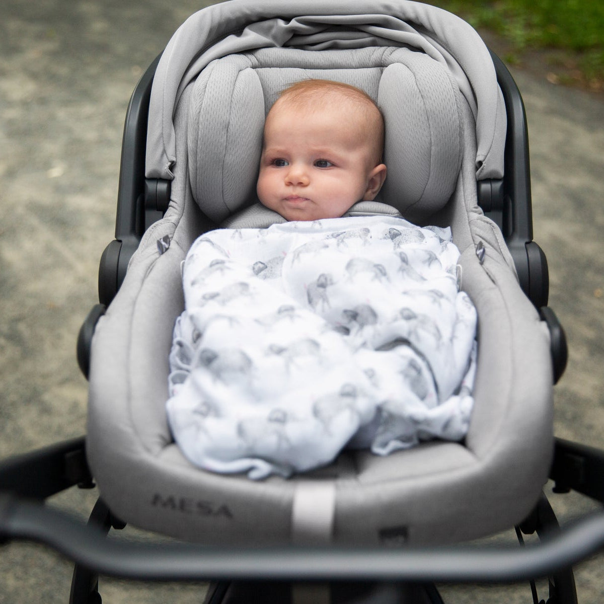 Uppababy mesa sales