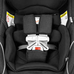 Agio by Peg Perego Primo Viaggio 4-35 Lounge Infant Car Seat + Base